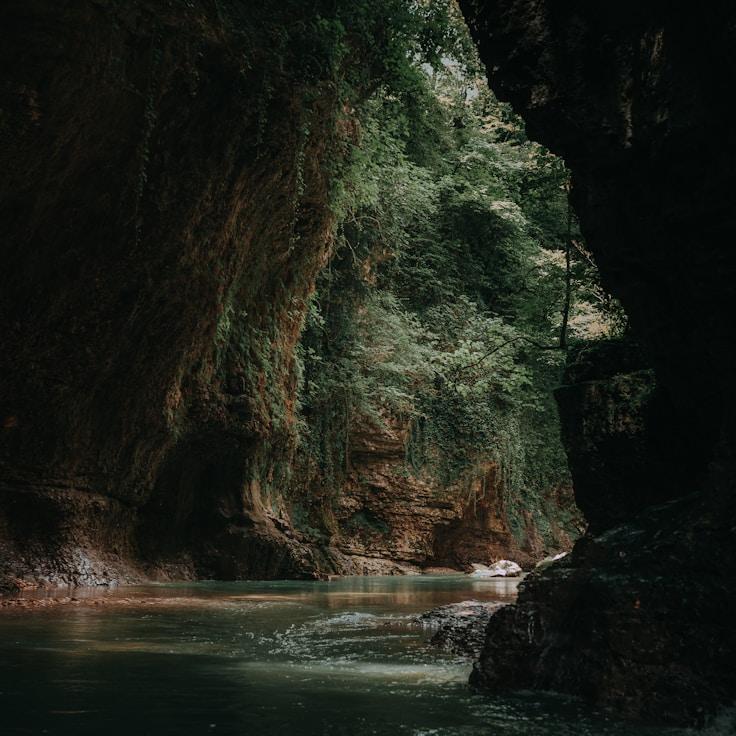 Nature travel hero image